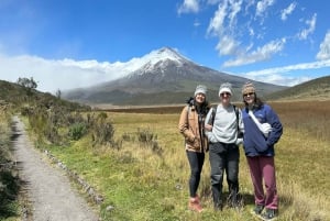 From Quito: Explore Cotopaxi and Baños in one day