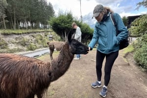 From Quito: Explore Cotopaxi and Baños in one day