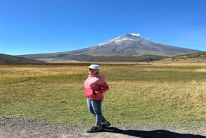 From Quito: Explore Cotopaxi and Baños in one day