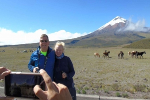 Cotopaxi & Baños Day Tour - wulkan, wodospady, odbiór z Quito