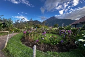 From Quito: Explore Cotopaxi and Baños in one day