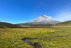 From Quito: Explore Cotopaxi and Baños in one day