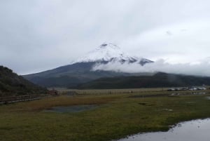 From Quito: Full Day Cotopaxi and Quilotoa