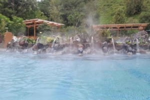 From Quito: Full Day Papallacta, nature and hot springs