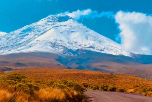 Fra Quito: Heldagstur til Cotopaxi