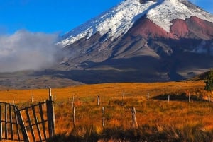 Von Quito aus: Ganzer Tag zum Cotopaxi