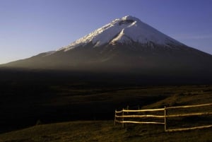 From Quito: Full day to Cotopaxi