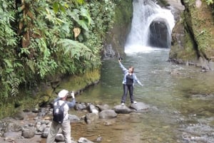 Desde Quito: Excursión guiada de un día al Bosque Nublado de Mindo