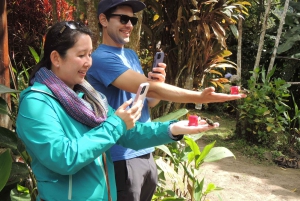 From Quito: Guided Day Trip to the Mindo Cloud Forest