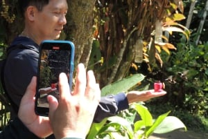 Desde Quito: Excursión de un día con guía al Bosque Nublado de Mindo