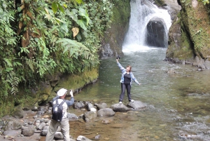 From Quito: Guided Day Trip to the Mindo Cloud Forest