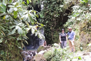 From Quito: Guided Day Trip to the Mindo Cloud Forest