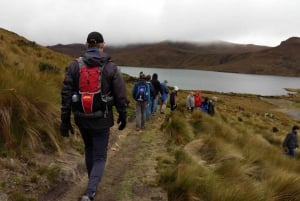 From Quito: Guided Volcano Tour in Antisana National Reserve