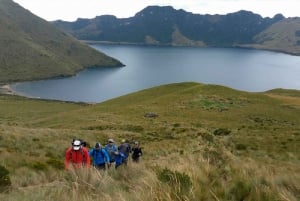 From Quito: Guided Volcano Tour in Antisana National Reserve