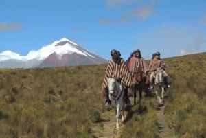 From Quito: Horseback Ride & Cotopaxi National Park Day Trip
