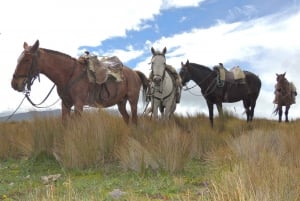 Von Quito aus: Ausritt und Tagesausflug in den Cotopaxi-Nationalpark