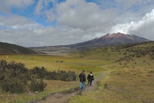 Fra Quito: Hestetur og dagstur i Cotopaxi nasjonalpark