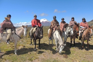 Desde Quito: Paseo a Caballo y Excursión de un Día al Parque Nacional Cotopaxi