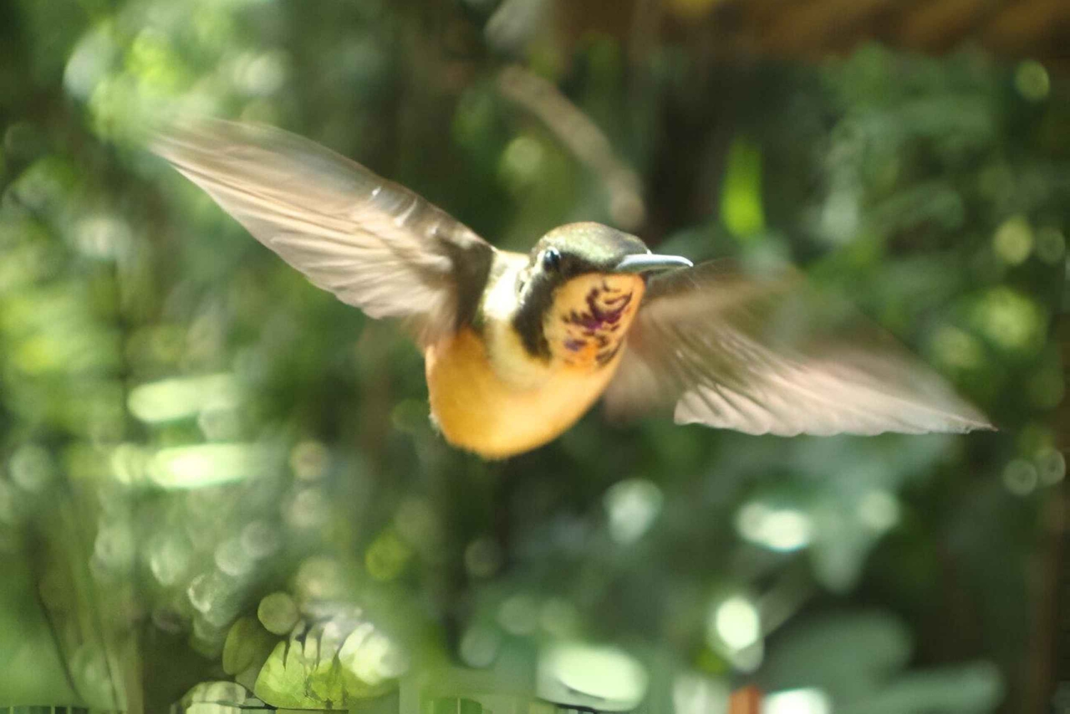 VON QUITO-Mindo Nebelwald & Calacali Mitte der Welt