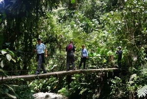 FRÅN QUITO-Mindo Cloud Forest & Calacali Världens medelpunkt