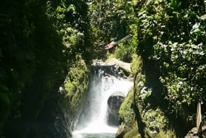 FRÅN QUITO-Mindo Cloud Forest & Calacali Världens medelpunkt