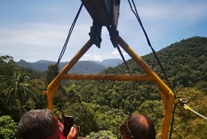 FRÅN QUITO-Mindo Cloud Forest & Calacali Världens medelpunkt