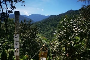 FRÅN QUITO-Mindo Cloud Forest & Calacali Världens medelpunkt