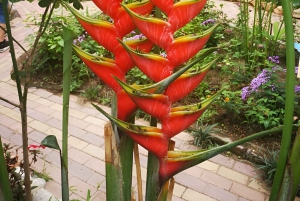 VON QUITO-Mindo Nebelwald & Calacali Mitte der Welt