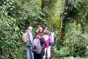 Desde Quito: tour 1 día Bosque Nublado de Mindo con traslado