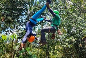 From Quito: Mindo Cloud Forest, Full Day Trip with Lunch