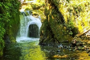 From Quito: Mindo Cloud Forest, Full Day Trip with Lunch