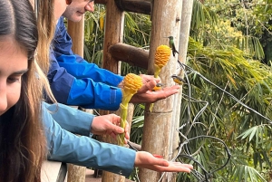 من كيتو جولة في غابة ميندو السحابية ليوم كامل