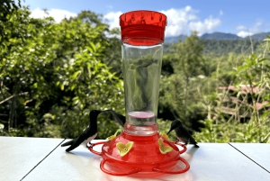 من كيتو جولة في غابة ميندو السحابية ليوم كامل