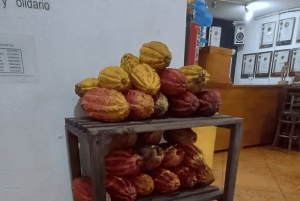 من كيتو جولة في غابة ميندو السحابية ليوم كامل