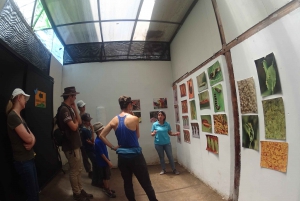 Desde Quito: viaje de un día guiado por Mindo Trekking y vida salvaje