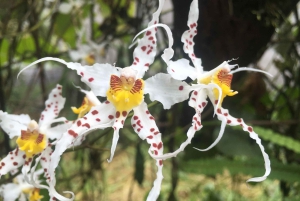 From Quito: Mindo Trekking & Wildlife Guided Day Trip