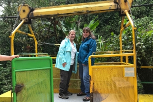 From Quito: Mindo Trekking & Wildlife Guided Day Trip