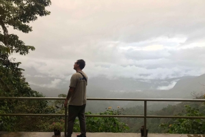 From Quito: Mindo Trekking & Wildlife Guided Day Trip