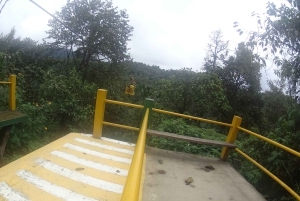 From Quito: Mindo Trekking & Wildlife Guided Day Trip