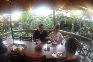 From Quito: Mindo Trekking & Wildlife Guided Day Trip