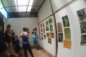 From Quito: Mindo Trekking & Wildlife Guided Day Trip