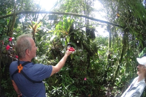 From Quito: Mindo Trekking & Wildlife Guided Day Trip