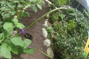 From Quito: Mindo Trekking & Wildlife Guided Day Trip