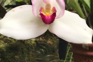 From Quito: Mindo Trekking & Wildlife Guided Day Trip