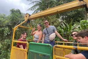 From Quito: Mindo Trekking & Wildlife Guided Day Trip