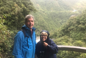 From Quito: Mindo Trekking & Wildlife Guided Day Trip