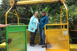 From Quito: Mindo Trekking & Wildlife Guided Day Trip