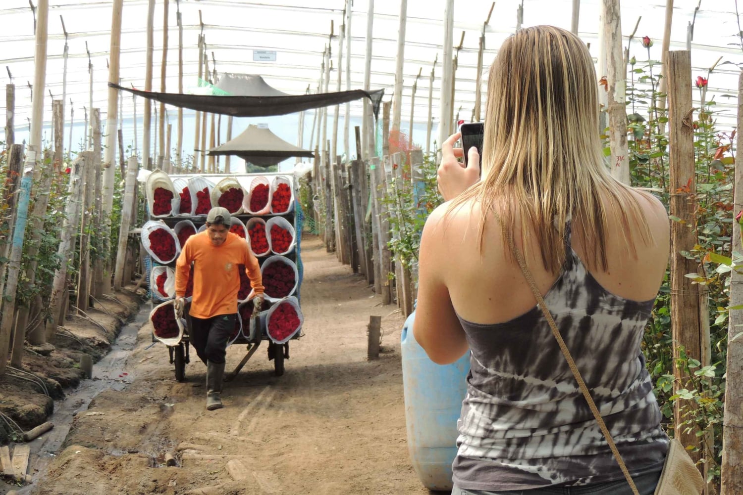 Från Quito: Otavalo Indian Market och Rose Farm delad tur