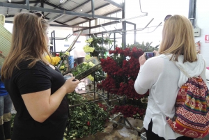 Från Quito: Otavalo Indian Market och Rose Farm Shared Tour
