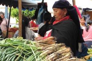 Från Quito: Otavalo Indian Market och Rose Farm delad tur